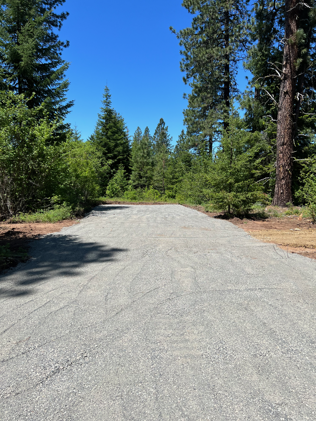 Finished gravel driveway through trees